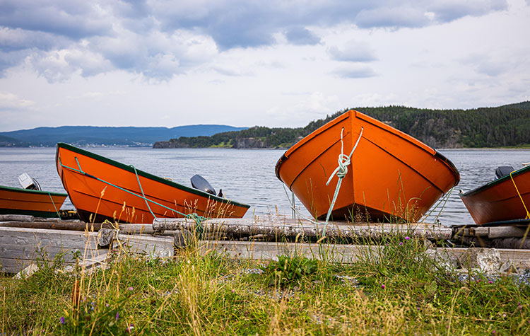 Boat Tours